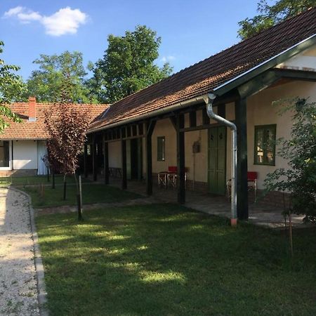 Farm House Domaszek Экстерьер фото